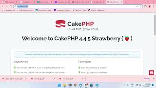 CakePHP 4  SpatieBrowsershot PDF Creation with Token Authentication [upl. by Niwrehs]