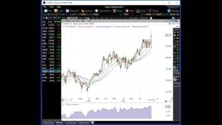 Alphatrends Subscriber Webinar [upl. by Ikairik118]