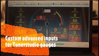 Custom advanced inputs for Tunerstudio gauges [upl. by Kaja]