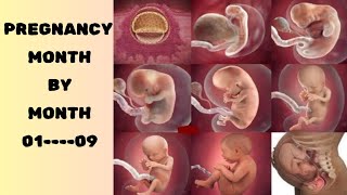 Pregnancy Month by Month  Baby Developmental Stages in womb From month 19 [upl. by Anitsirt]