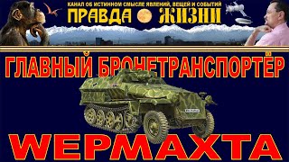 SdKfz 251 главный бронетранспортёр вермахта [upl. by Agathy]