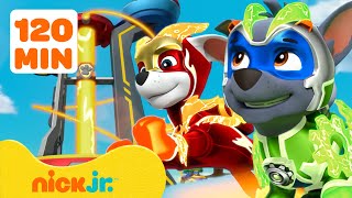 Best Chase Ultimate Police Rescues and More  PAW Patrol  Cartoons for Kids Compilation [upl. by Enellek]