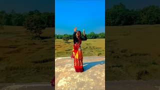 Meri Najarhindi shortvideos dance shortsart [upl. by Eibo326]