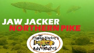 Shocking Underwater Jaw Jacker Northern Pike Friday the 13th [upl. by Ydennek]