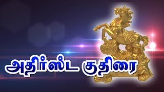 vastu lucky horse in tamil consulting whats App no 91 9843708575 அதிர்ஷ்ட வாஸ்து குதிரை [upl. by Divod200]