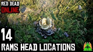 Red Dead Redemption 2 Online  RAMS HEAD LOCATIONS [upl. by Reinke]