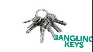 JANGLING KEYS SOUND EFFECT [upl. by Wirth547]