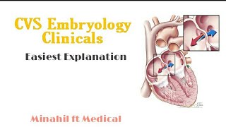 Important CVS Embryology Clinicals  Part 1  Super Easy to Understand [upl. by Einalam]