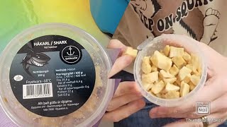 Fermented shark Hákarl taste test Part 1 [upl. by Zollie425]