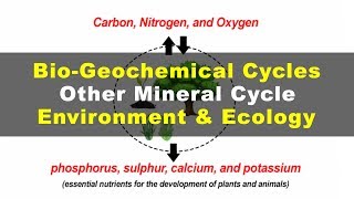 What is Phosphorus Sulphur Calcium Potassium Cycles  Environment amp Ecology [upl. by Limay]