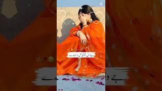 Changa Hunda Tenu Dil Na Dinde 😍🙃❣️ Best Urdu Poetry Status 💝 Roshniediz [upl. by Wiese437]