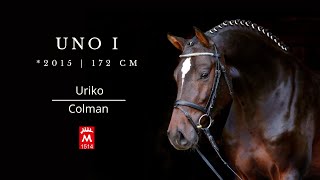 UNO I 2015 v Uriko  Colman [upl. by Sewel]