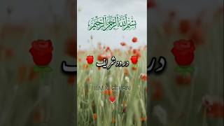 Darood sharif  Darood e Ibrahim [upl. by Ahswat340]