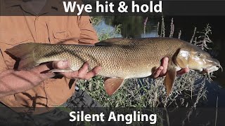 Barbel rigs for river fishing UK  river Wye  touch ledgering  silent angling [upl. by Etak]