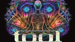 TOOL  LOST KEYSROSETTA STONED Lyrics [upl. by Aicrag]