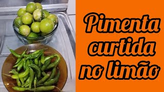 Passo a passo de como curtir pimenta no limão 🍋 [upl. by Adriaens]