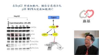 肝癌怎麼辦推薦您佩你安Cyproheptadine [upl. by Ise]