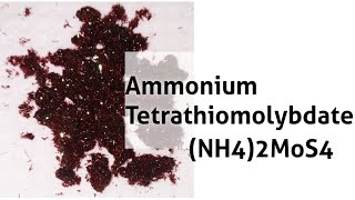 Ammonium Tetrathiomolybdate  Preparation [upl. by Vince]