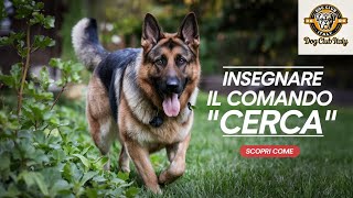 Come Insegnare al Cane il Comando quotCercaquot Guida Completa AddestramentoCani CaneCerca Cane [upl. by Rekyr]