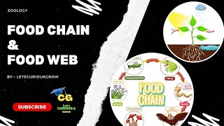 foodchain foodweb ecologyviralvedio [upl. by Murray324]