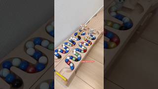 Marble Run Race ASMR ♡ Wave Slope Course ♡ EP 17 ♡ Colorful Marbles [upl. by Israeli147]