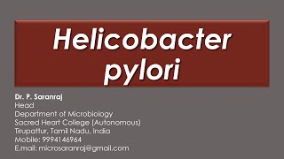 Helicobacter pylori [upl. by Biggs693]