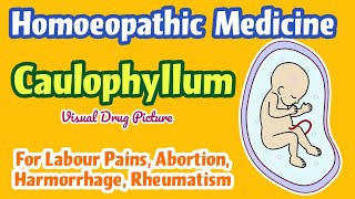 Caulophyllum 30  200 Homoeopathic Medicine  Drug Picture  For Normal Delivery Pregnancy [upl. by Halima]