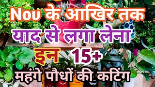 Nov के आखिर तक जरूर लगाना 15महंगे पौधों की कटिंग सबसे फास्ट ग्रो होते हैं  plants grow by cutting [upl. by Nomed474]