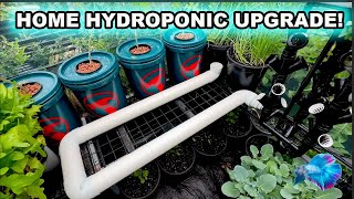 DIY HOME HYDROPONICS SYSTEM [upl. by Ainaj]