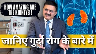 Kidney Function  Kidney Diseases Causes Treatment  Dr Jamal A Khan  Health wealth and lifestyle [upl. by Politi]