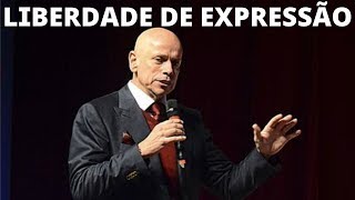 LEANDRO KARNAL 🤔O que significa ter liberdade de expressão❓ [upl. by Cyrille319]