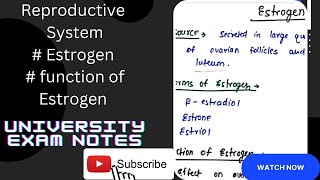 Estrogen Hormone  Estrogen hormone physiology Estrogen functions [upl. by Jun]