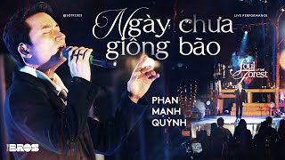 Ngày Chưa Giông Bão  Phan Mạnh Quỳnh  Live at Soul of The Forest [upl. by Orfinger289]