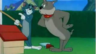 Tom and Jerry shortmp4 [upl. by Ahselyt]