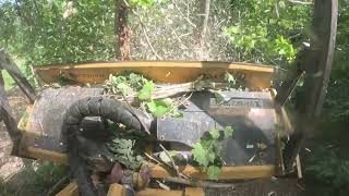 Forestry Mulcher Land Clearing Food Plots and Pasture Irvine Kentucky 07 08 2024 [upl. by Violante933]