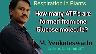 The Respiratory Balance Sheet  Respiration in Plants [upl. by Marlin]