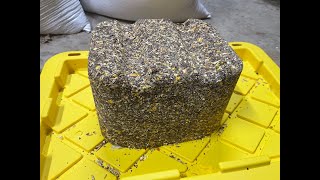 DIY Deer Feed Block [upl. by Husain]