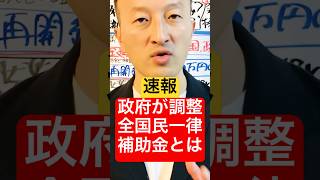 政府が調整「全国民対象の補助金とは」速報 現金10万円給付 特別定額給付金2回目 いつから給付開始 [upl. by Iaht893]