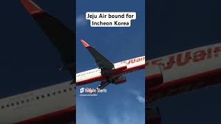 Jeju Air to Korea  Panglao Airport planespotting aviation shortsfeed shortvideo [upl. by Hyacintha]