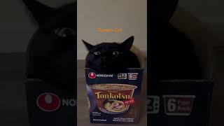 RAMEN CAT catsfunnyshorts [upl. by Sonafets]