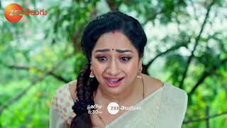 Trinayani Promo  11 Oct 2024  Everyday at 830 PM  Zee Telugu [upl. by Yraek193]