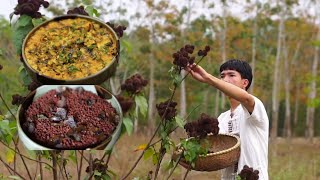 Harvesting annatto seeds the seeds that add color to dishes [upl. by Zurciram]