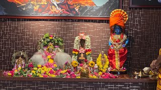 Sri Medha Dakshinamoorthy Abhishekam And Pooja  Tapovanam [upl. by Kalb]