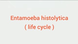 Entamoeba histolytica life cycle hindi Amoebic dysentry parasitic protozoan sciencespectrum07 [upl. by Richela]