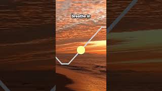 Slow Rhythmic Breathing Exercise for Stress Relief breathingforanxiety breathe breathingexercise [upl. by Bradleigh39]