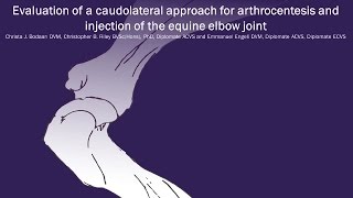 Equine Elbow Arthrocentesis [upl. by Schram887]