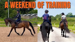 FOCUSING MORE ON FLAT WORK A weekend of training [upl. by Neyu]