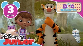 Doc McStuffins amp Winnie the Pooh  Get Down Song  Disney Junior UK [upl. by Aiym617]