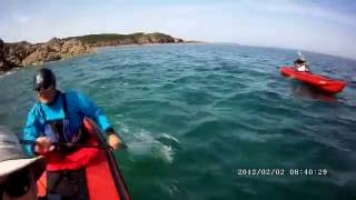 Test du nouveau kayak gonflable Gumotex  Seawave en Bretagne [upl. by Enelhtac]