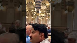 ham madina jayegi video hajj makka madina saudiarabia muslim umrah hajj youtubeshorts [upl. by Reggy]